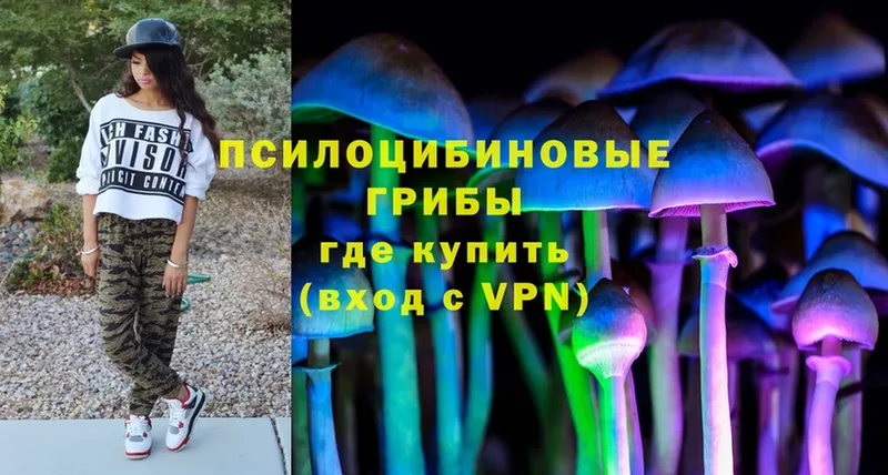 Псилоцибиновые грибы Magic Shrooms  Ялуторовск 